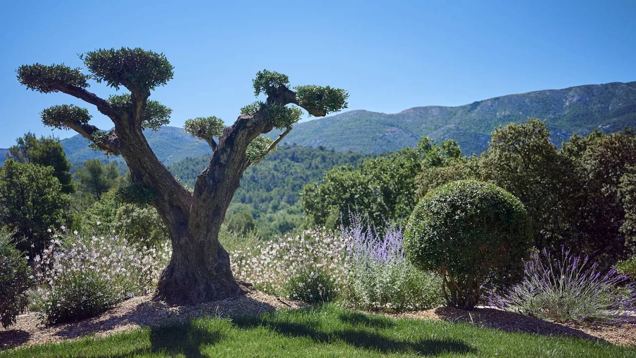 Réalisation AD Paysage