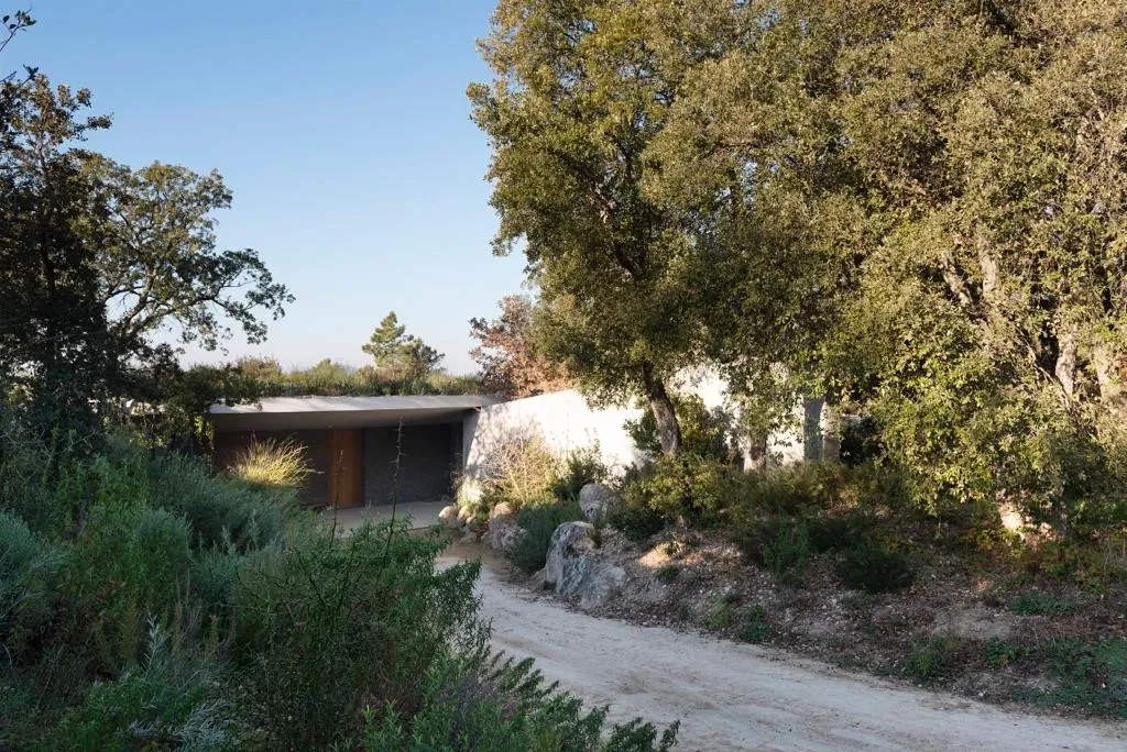 Réalisation ATRIUM Paysage