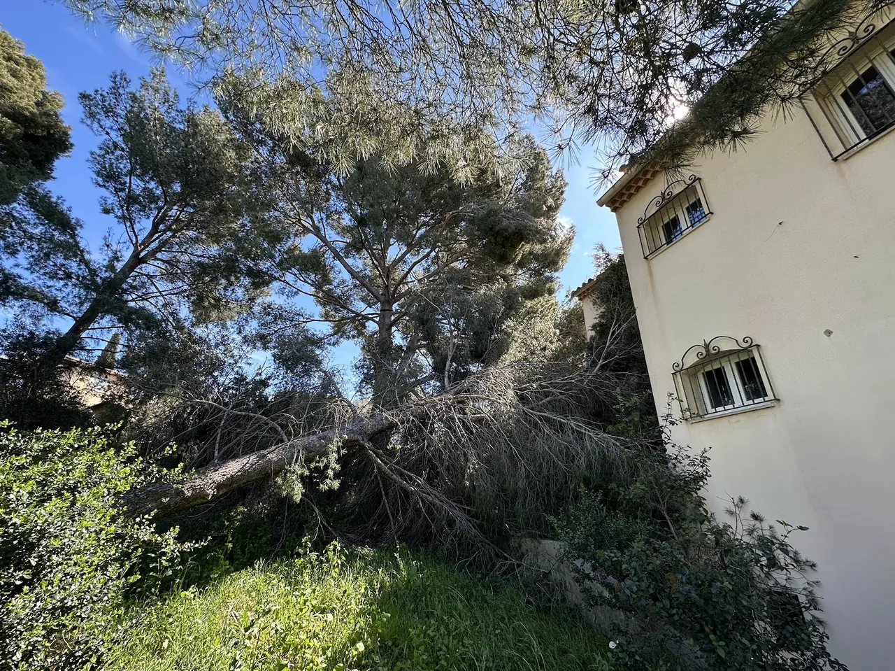 Réalisation Aux deux arbres