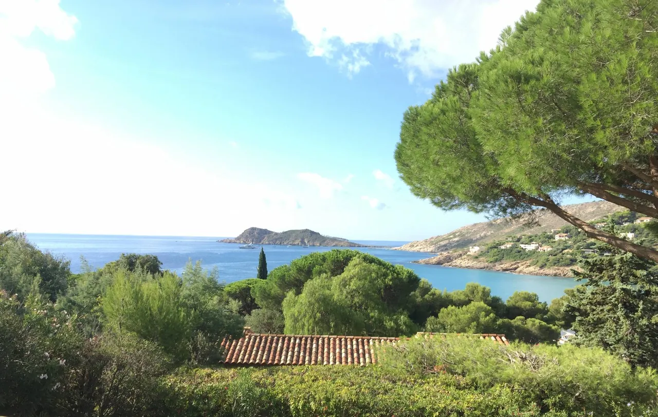 Réalisation Combes Paysage