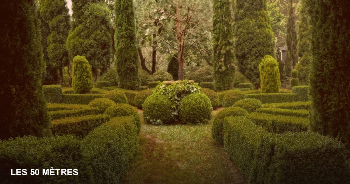Attestation de débroussaillement : le guide pour les entreprises de paysage