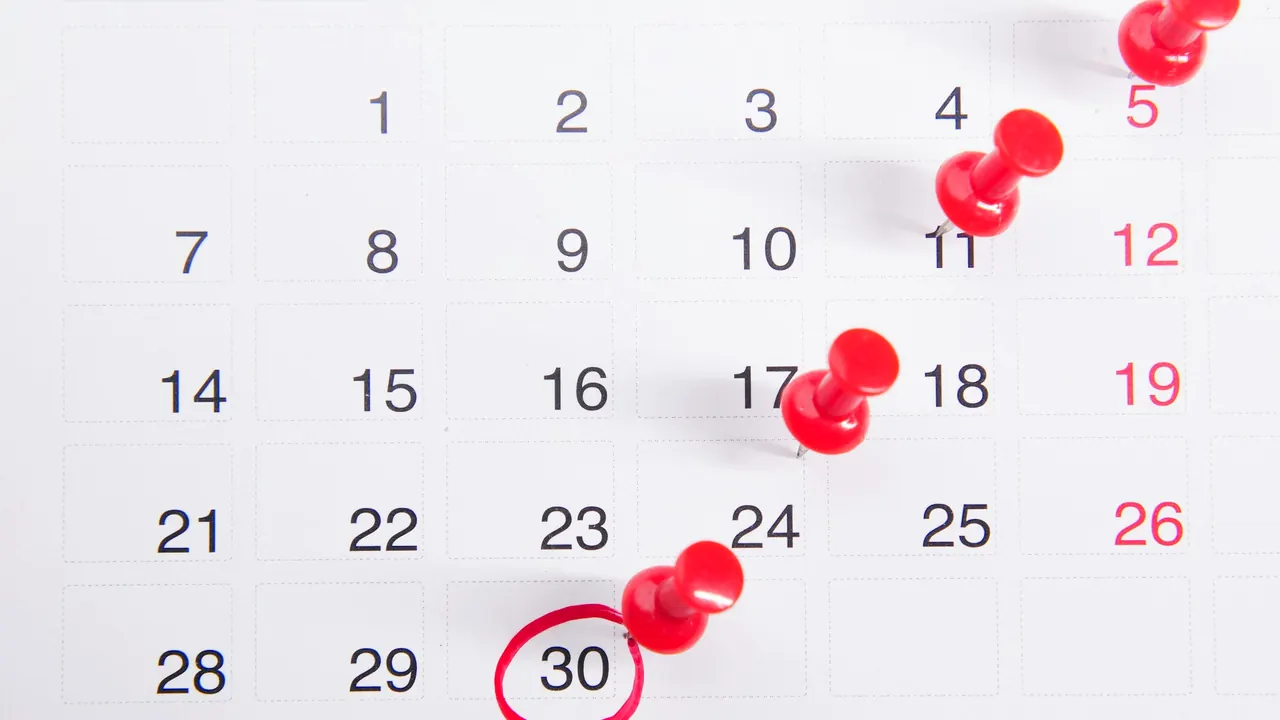 Quand tailler haies et arbustes : le calendrier par espèce (et la réglementation à connaître)