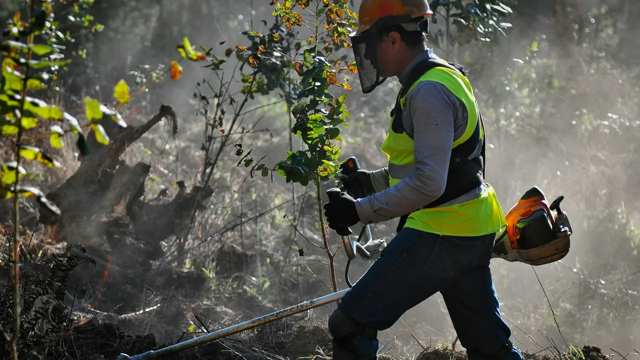 EPI obligatoires pour un chantier de paysage : la liste complète par métier