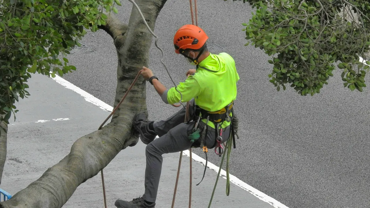 EPI obligatoires pour un chantier de paysage : la liste complète par métier